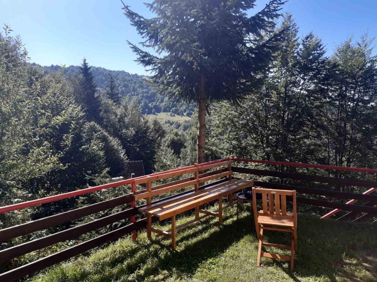 Holiday House Nesovic Kopaonik Eksteriør bilde