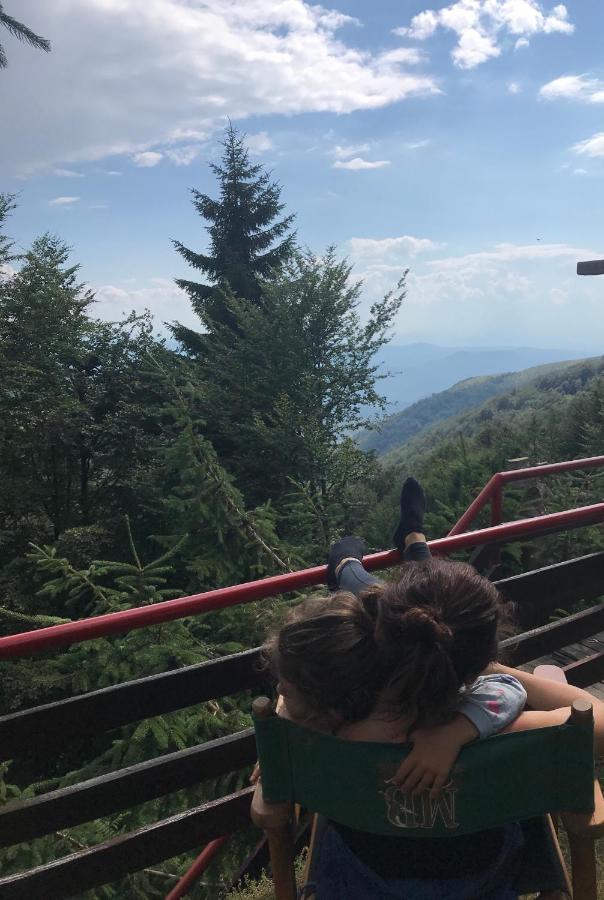 Holiday House Nesovic Kopaonik Eksteriør bilde