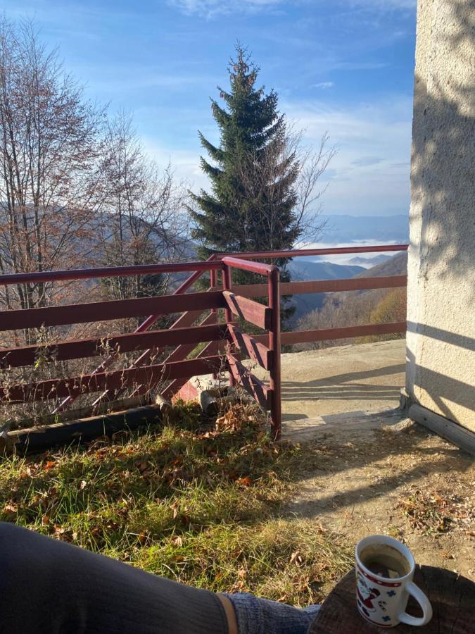 Holiday House Nesovic Kopaonik Eksteriør bilde