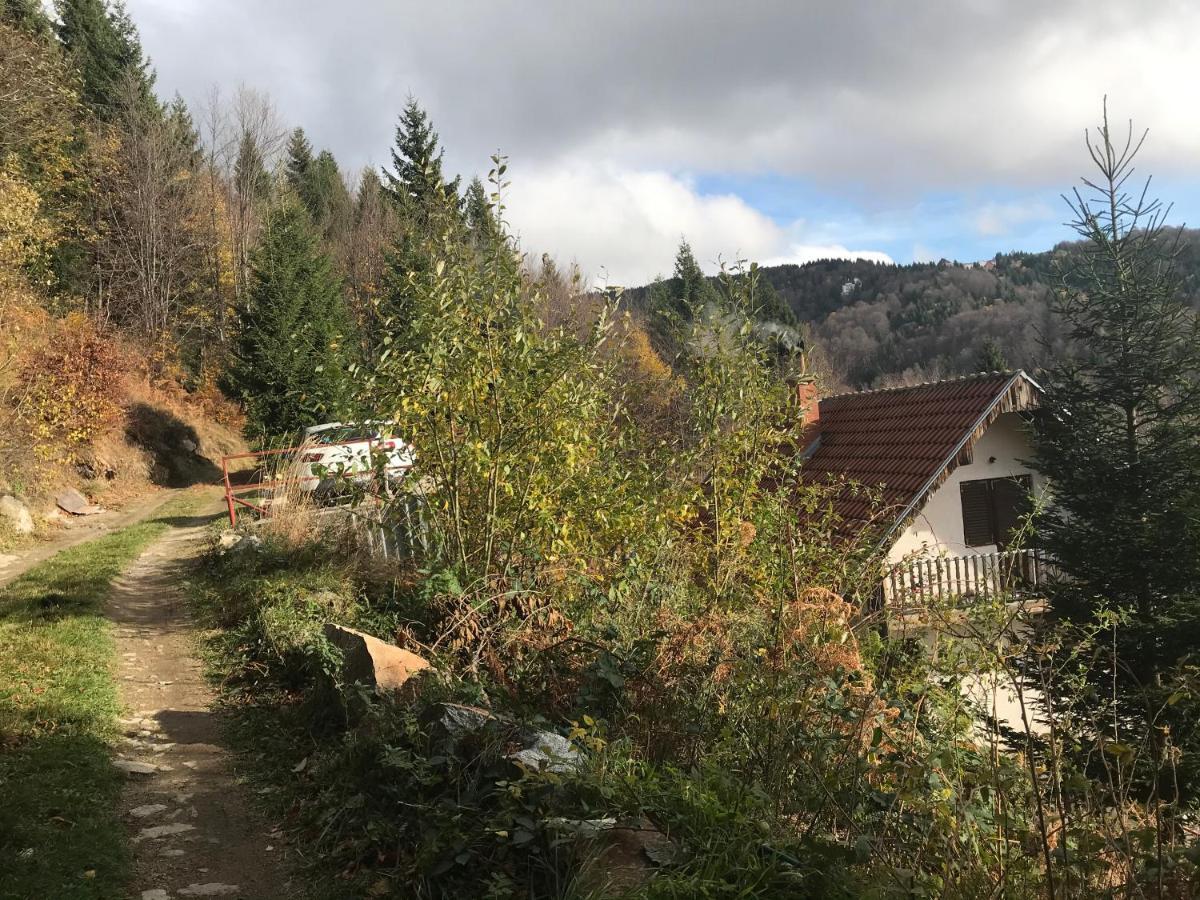 Holiday House Nesovic Kopaonik Eksteriør bilde