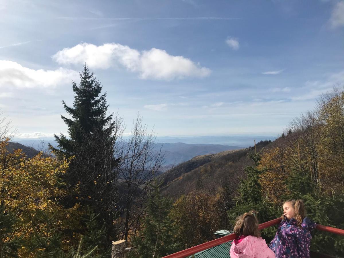 Holiday House Nesovic Kopaonik Eksteriør bilde