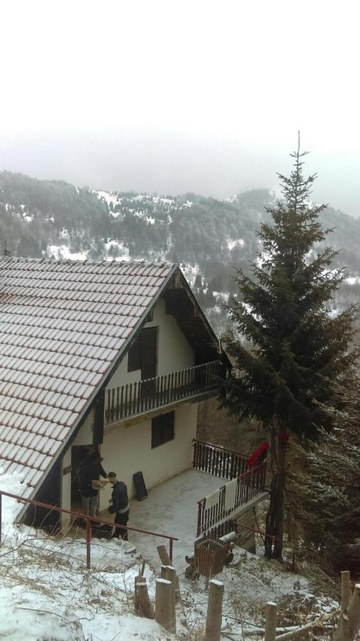 Holiday House Nesovic Kopaonik Eksteriør bilde