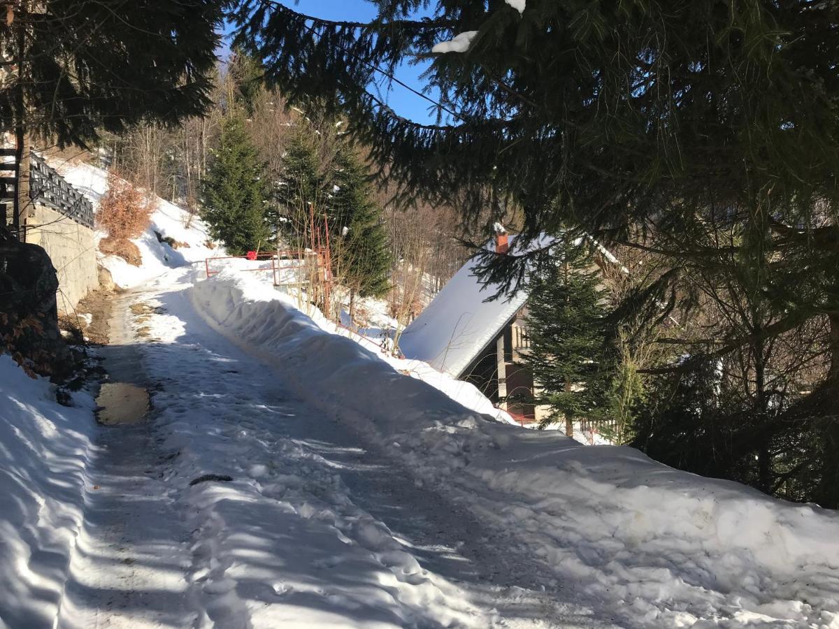 Holiday House Nesovic Kopaonik Eksteriør bilde