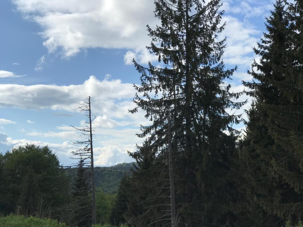 Holiday House Nesovic Kopaonik Eksteriør bilde