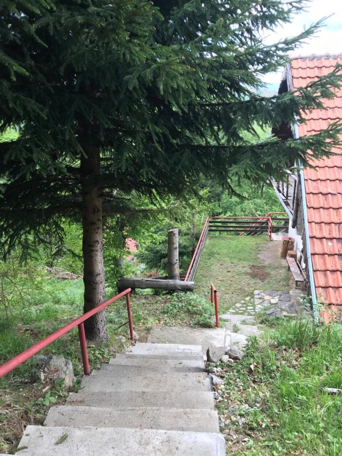 Holiday House Nesovic Kopaonik Eksteriør bilde