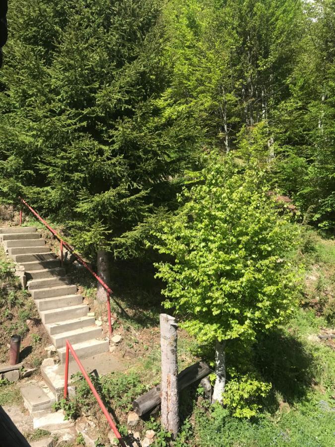 Holiday House Nesovic Kopaonik Eksteriør bilde