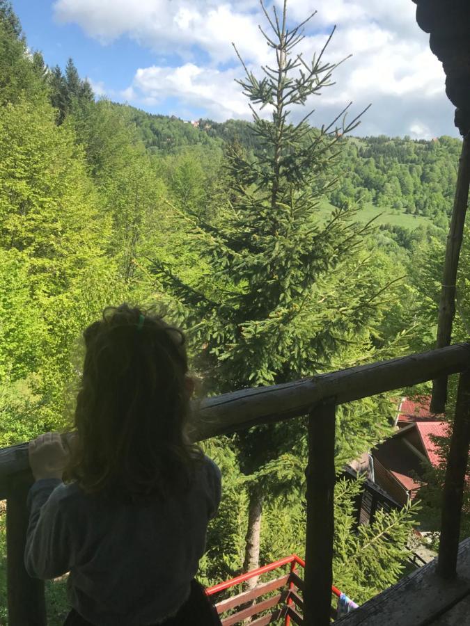 Holiday House Nesovic Kopaonik Eksteriør bilde